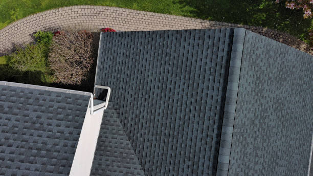 Best Roof Moss and Algae Removal  in West Milton, OH